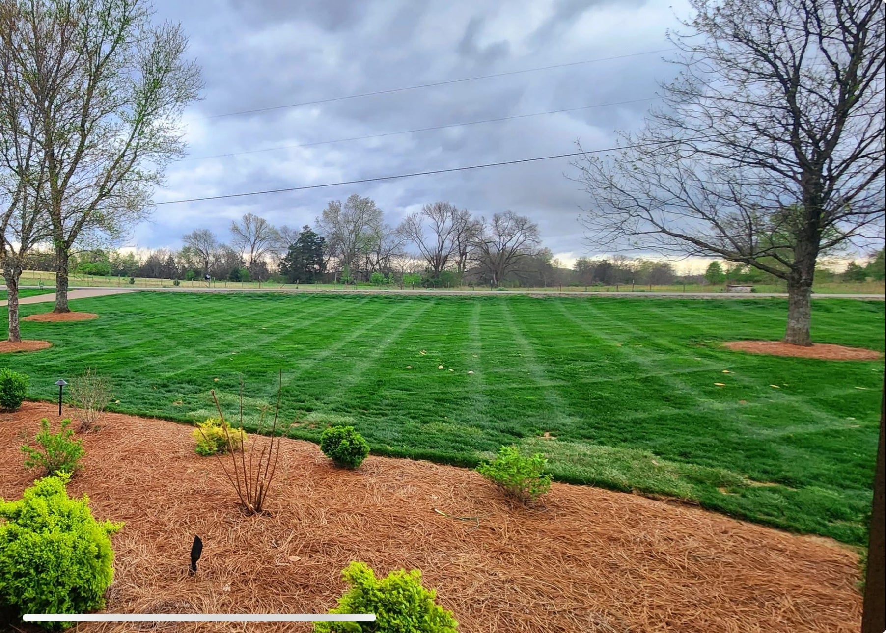 Lawn Mowing