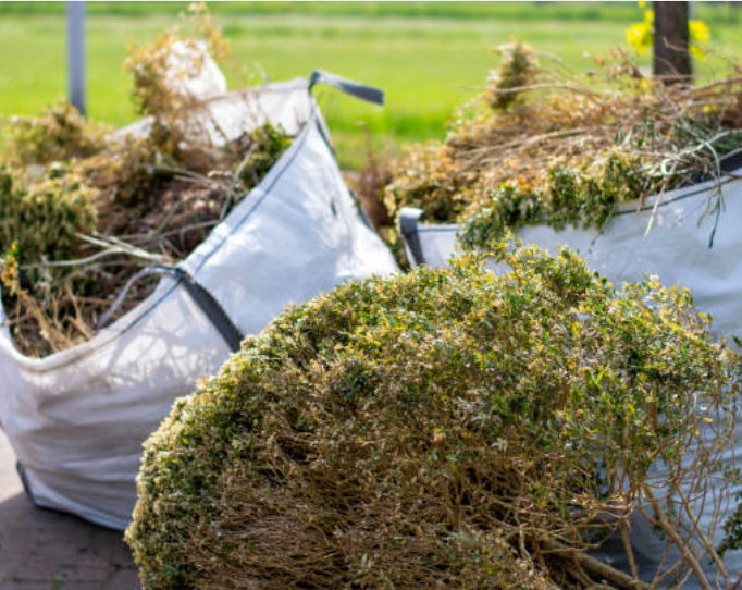 Fall Cleanup