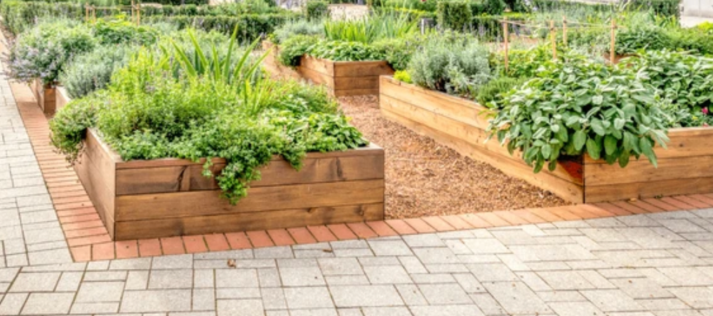 Raised Garden Beds